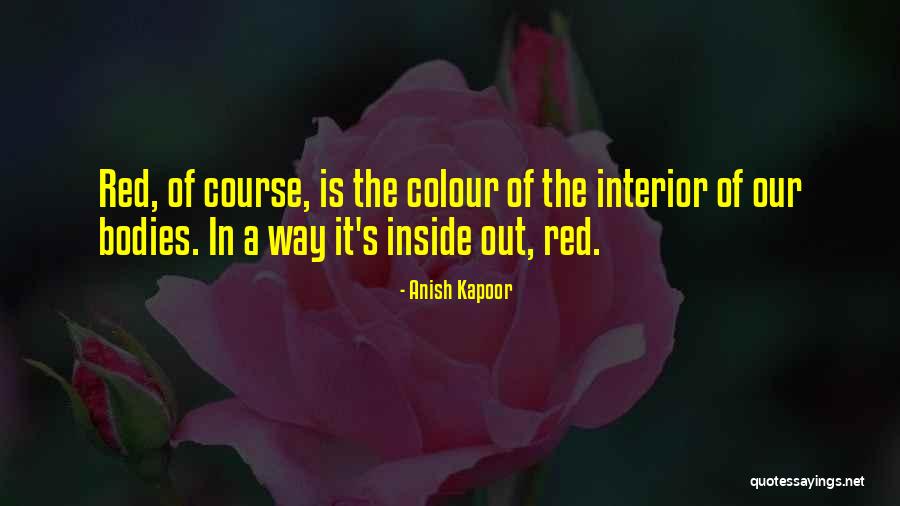 Anish Kapoor Quotes 1834120