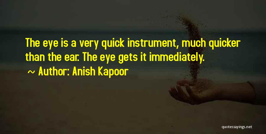 Anish Kapoor Quotes 751536