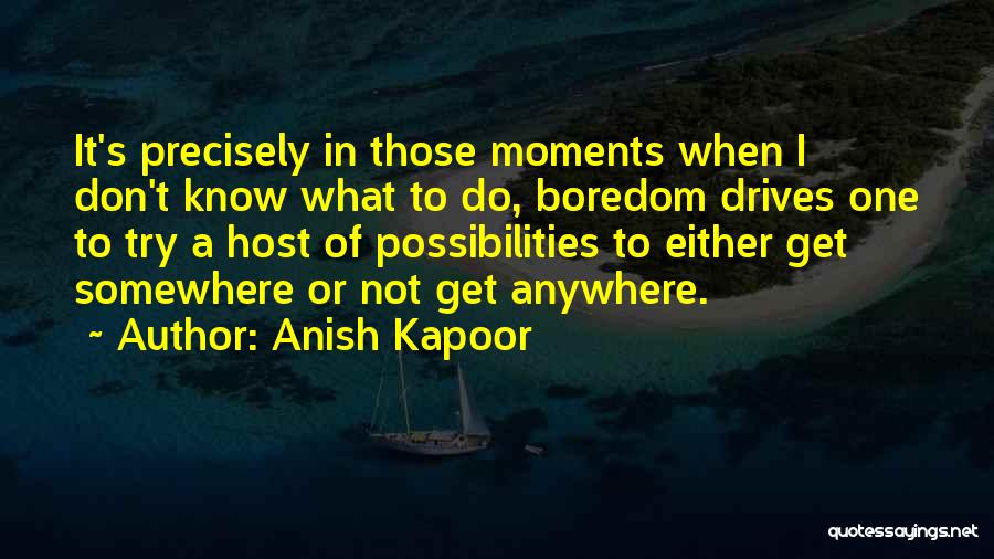 Anish Kapoor Quotes 995648