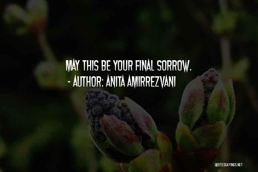 Anita Amirrezvani Quotes 1654014