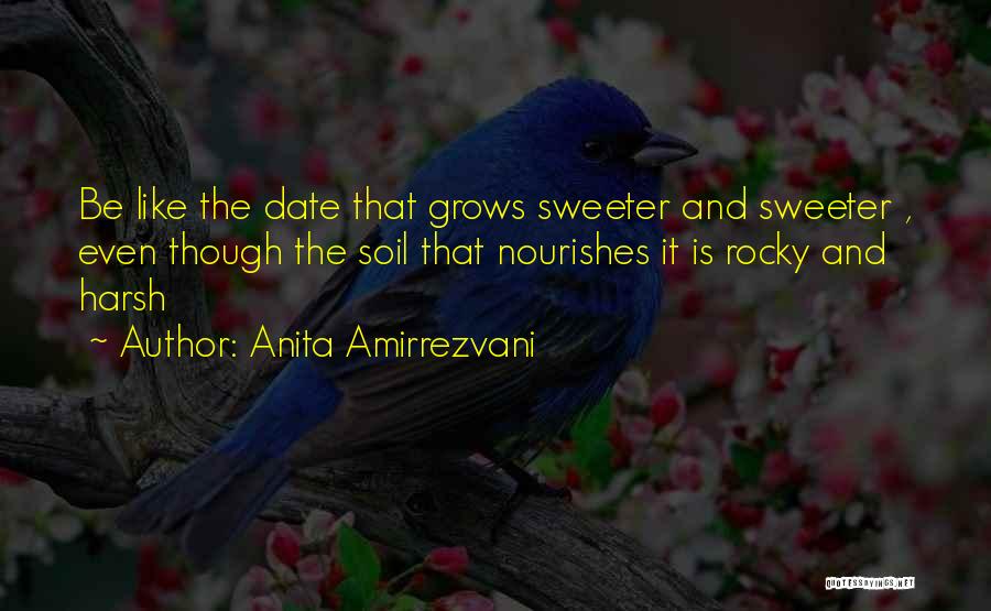 Anita Amirrezvani Quotes 1909727