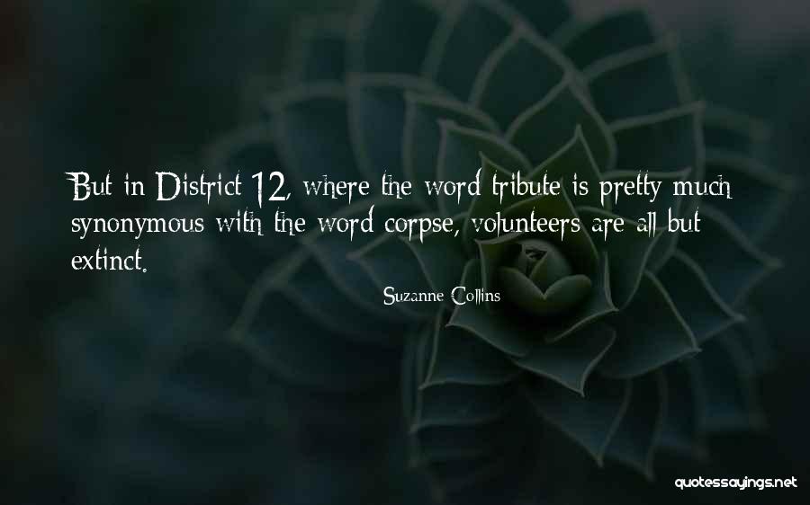Anita Archer Quotes By Suzanne Collins Anita Archer Quotes By Suzanne Collins