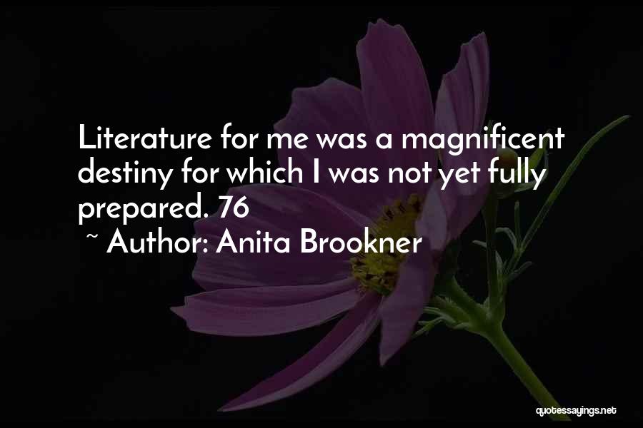 Anita Brookner Quotes 1411107