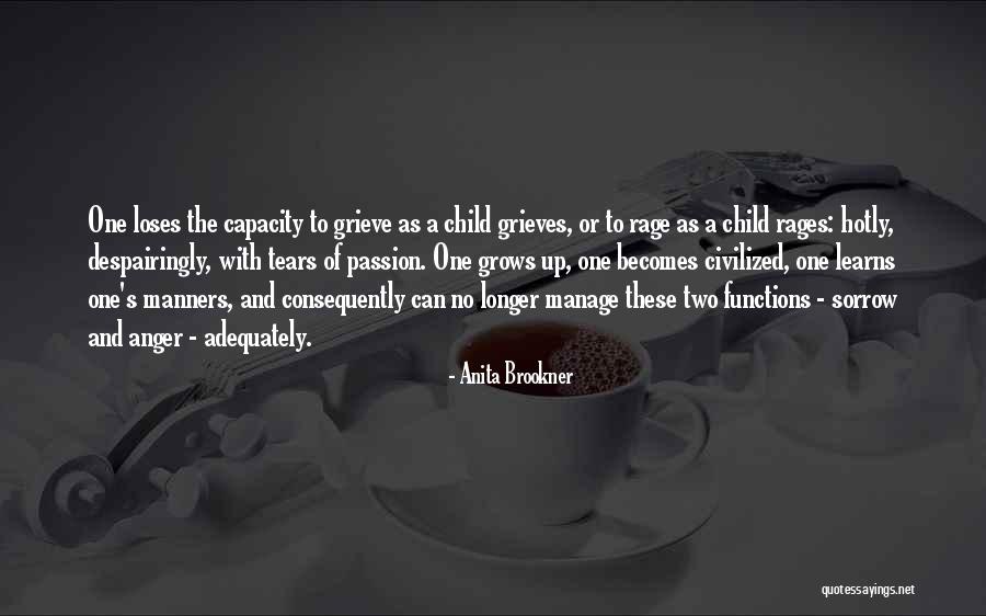 Anita Brookner Quotes 313557