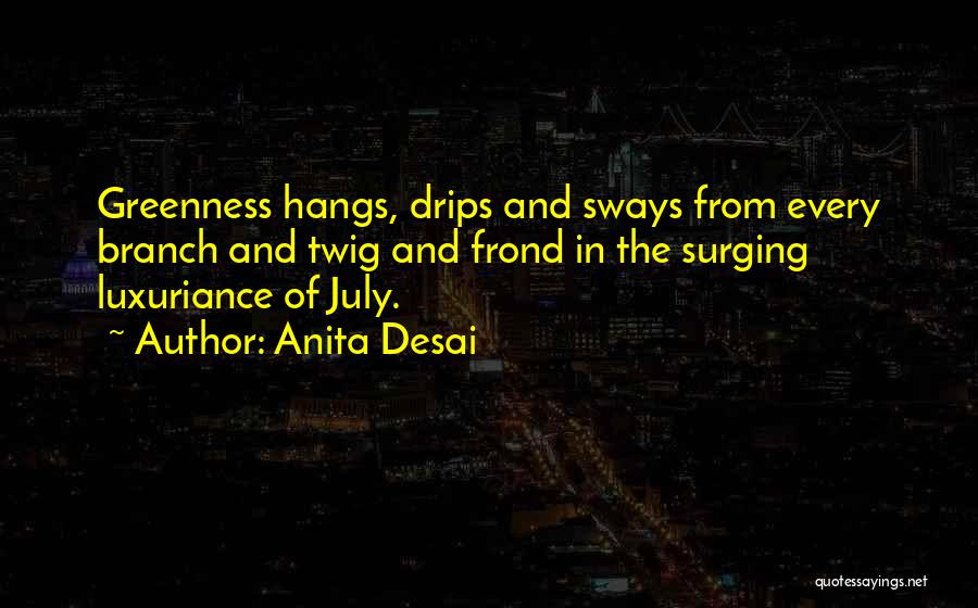 Anita Desai Quotes 1398485