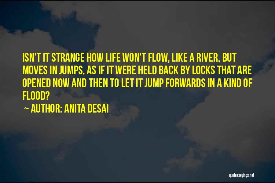 Anita Desai Quotes 1933561