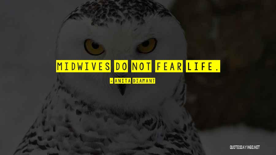 Anita Diamant Quotes 99120