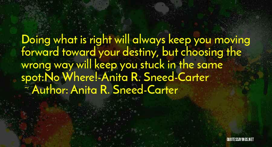 Anita R. Sneed-Carter Quotes 1333577