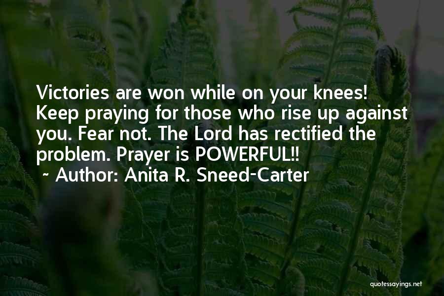 Anita R. Sneed-Carter Quotes 1444002