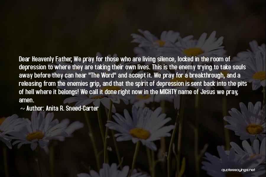 Anita R. Sneed-Carter Quotes 2114540