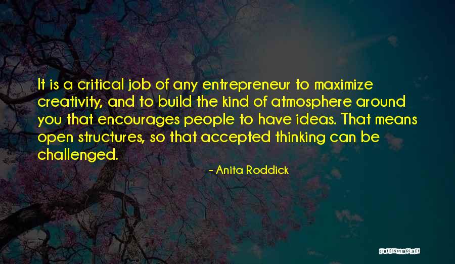 Anita Roddick Quotes 668981