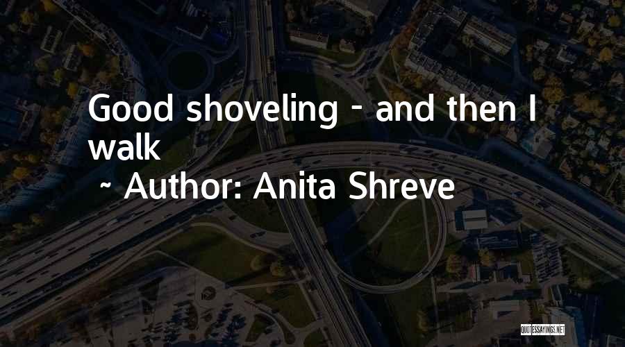 Anita Shreve Quotes 1147769