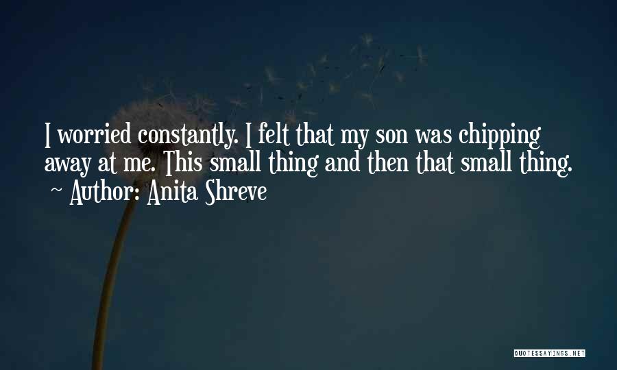 Anita Shreve Quotes 1428781