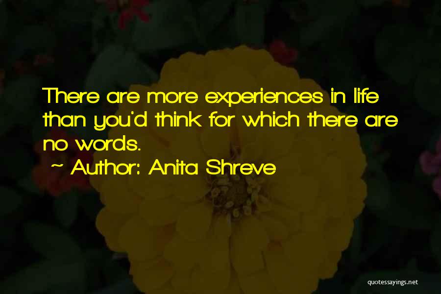 Anita Shreve Quotes 1764778