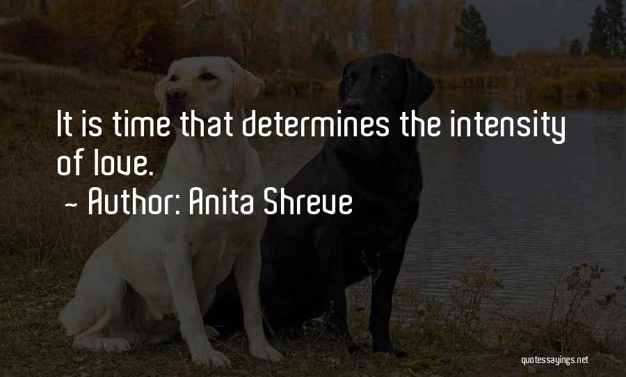 Anita Shreve Quotes 183505