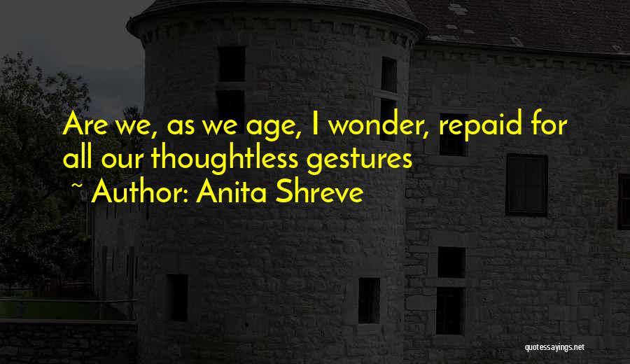 Anita Shreve Quotes 212818