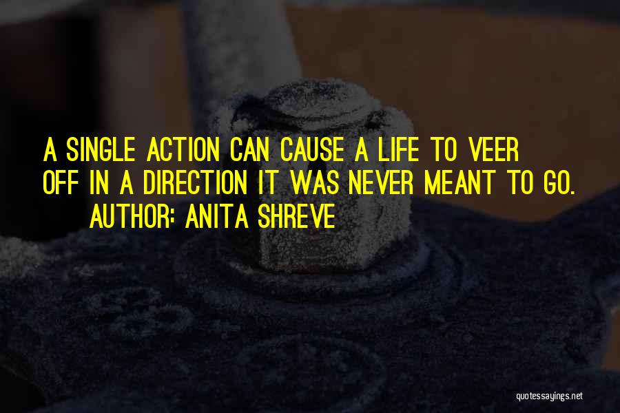 Anita Shreve Quotes 955550