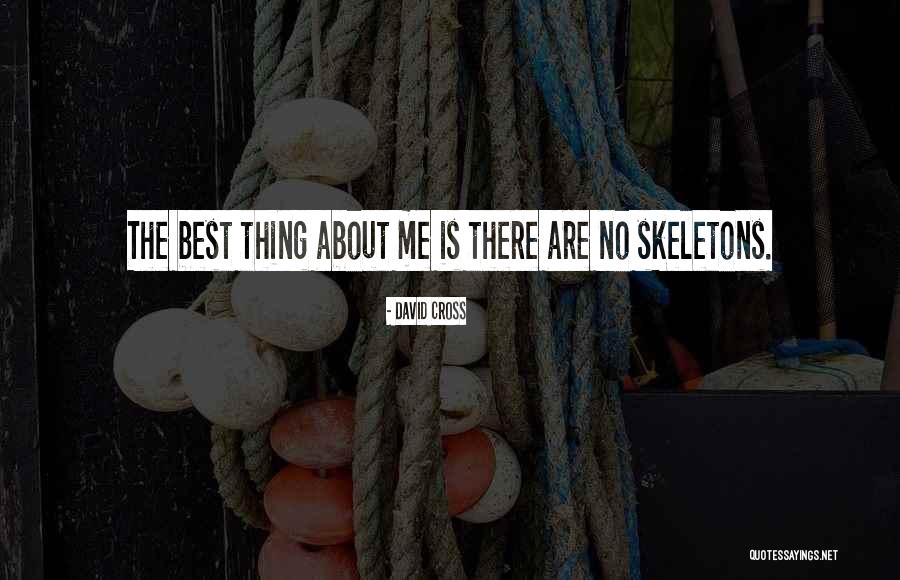 Anitasamantha Quotes By David Cross Anitasamantha Quotes By David Cross