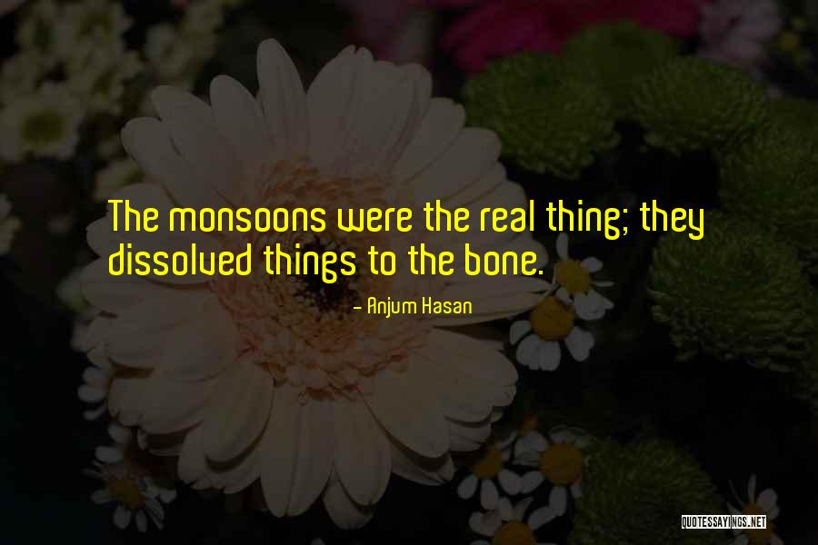 Anjum Hasan Quotes 1931970 Anjum Hasan Quotes 1931970