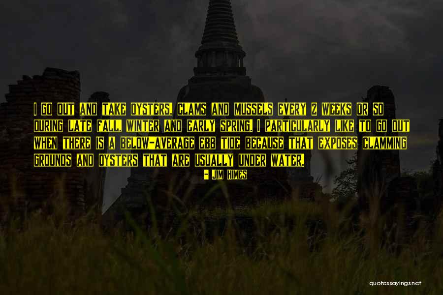 Anjuran Bersedekah Quotes By Jim Himes