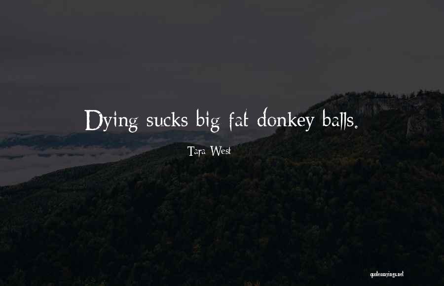 Ankaradan Kapadokya Quotes By Tara West Ankaradan Kapadokya Quotes By Tara West