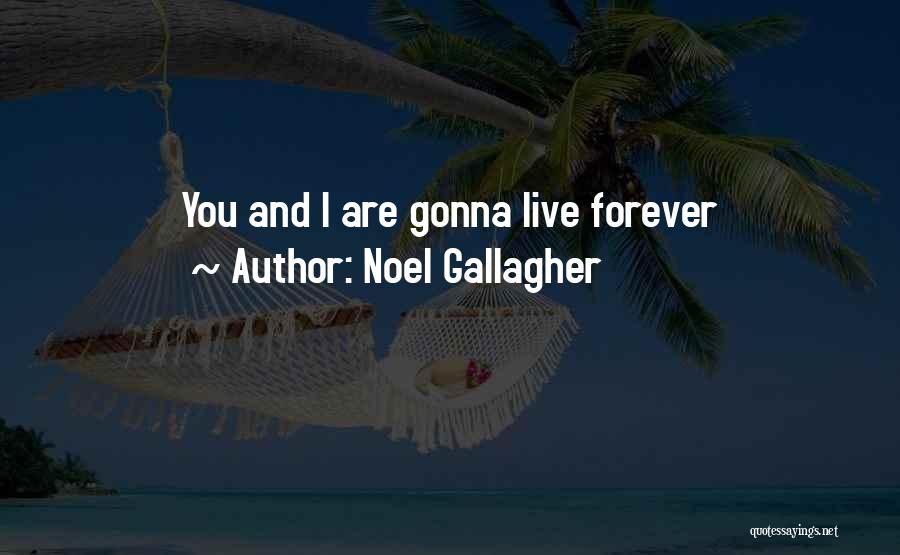 Ankerstjerne Quotes By Noel Gallagher