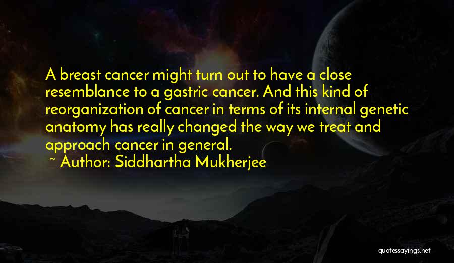 Ankerstjerne Quotes By Siddhartha Mukherjee