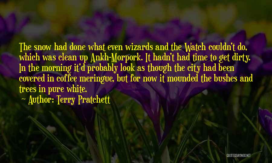 Ankh Morpork City Watch Quotes By Terry Pratchett