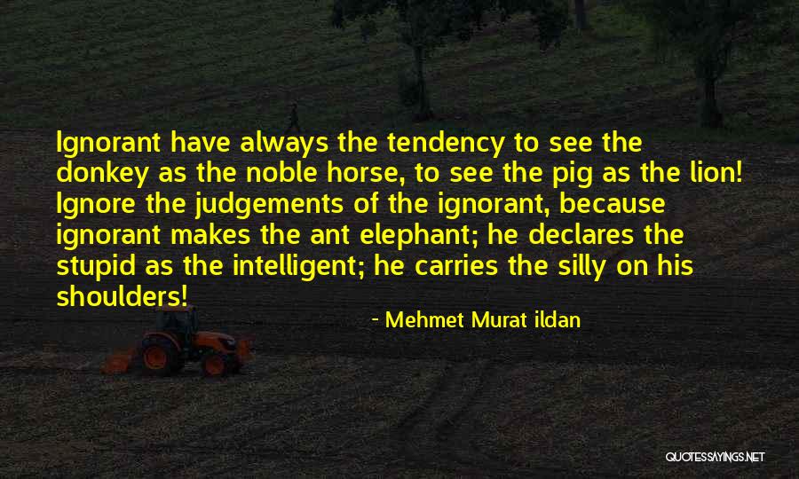 Anko Lynnwood Quotes By Mehmet Murat Ildan Anko Lynnwood Quotes By Mehmet Murat Ildan