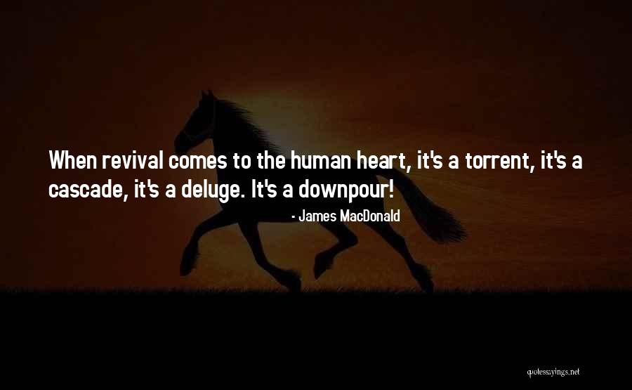 Anlage Eks Quotes By James MacDonald Anlage Eks Quotes By James MacDonald