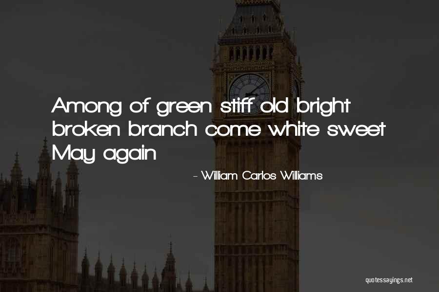 Anlagenabgang Quotes By William Carlos Williams Anlagenabgang Quotes By William Carlos Williams