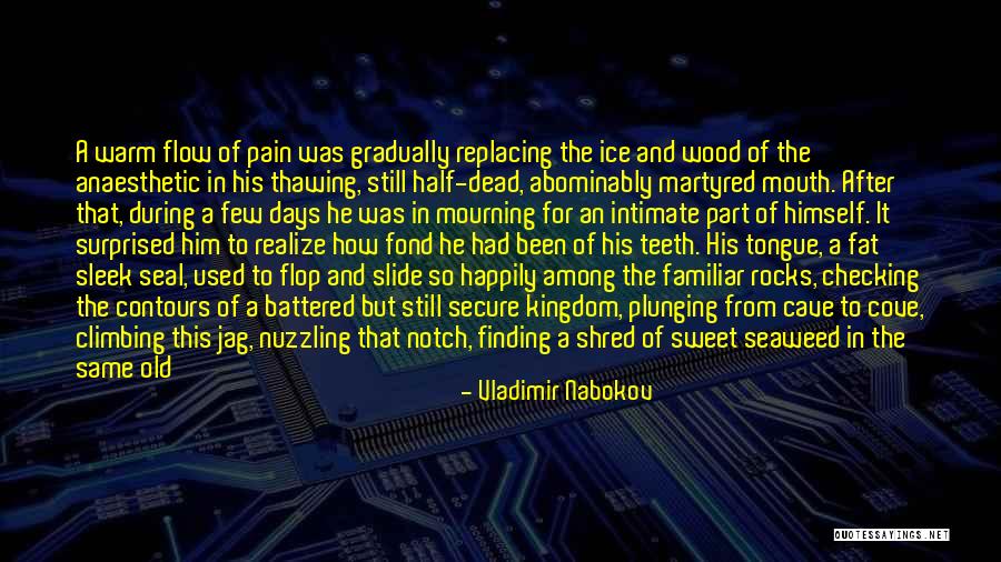 Anlamadam Quotes By Vladimir Nabokov Anlamadam Quotes By Vladimir Nabokov