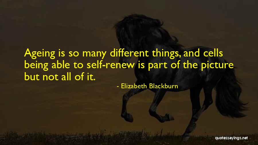 Anlatma Bana Quotes By Elizabeth Blackburn Anlatma Bana Quotes By Elizabeth Blackburn