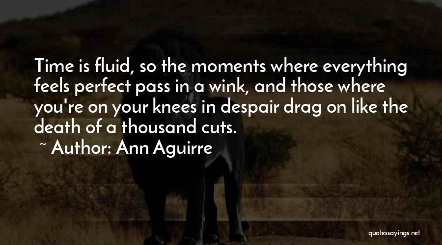 Ann Aguirre Quotes 1669905