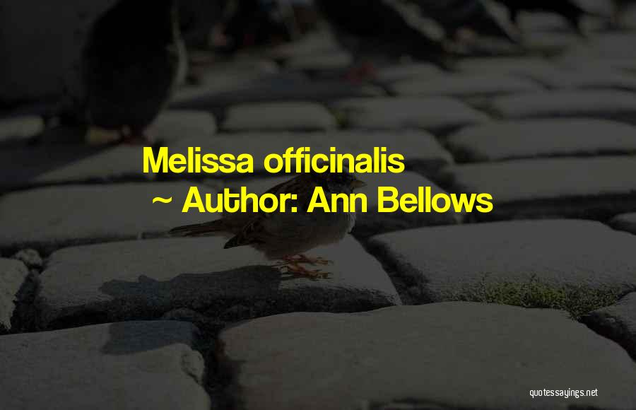 Ann Bellows Quotes 1282376