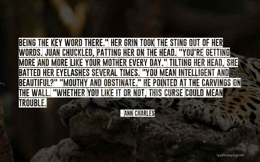 Ann Charles Quotes 638094 Ann Charles Quotes 638094