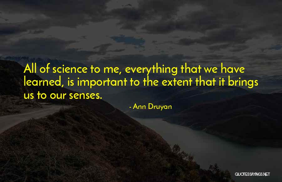 Ann Druyan Quotes 311385