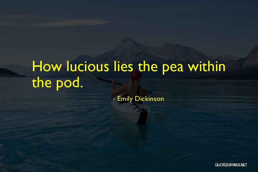 Ann Gravells Assessment Quotes By Emily Dickinson Ann Gravells Assessment Quotes By Emily Dickinson