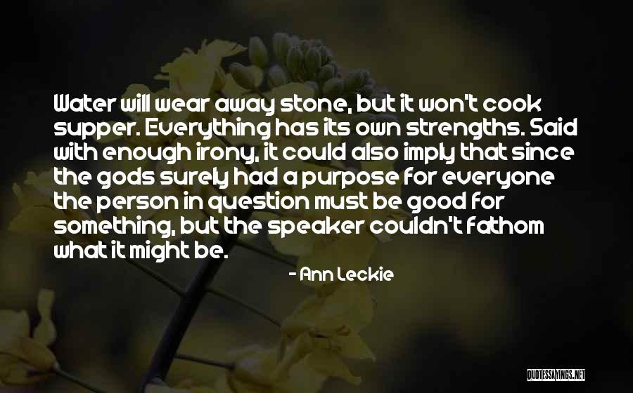 Ann Leckie Quotes 406651 Ann Leckie Quotes 406651