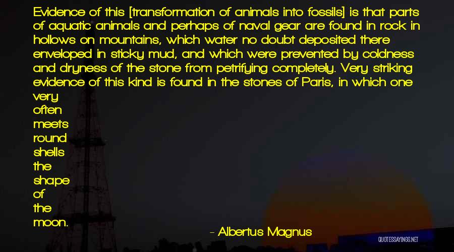 Ann Masten Quotes By Albertus Magnus Ann Masten Quotes By Albertus Magnus