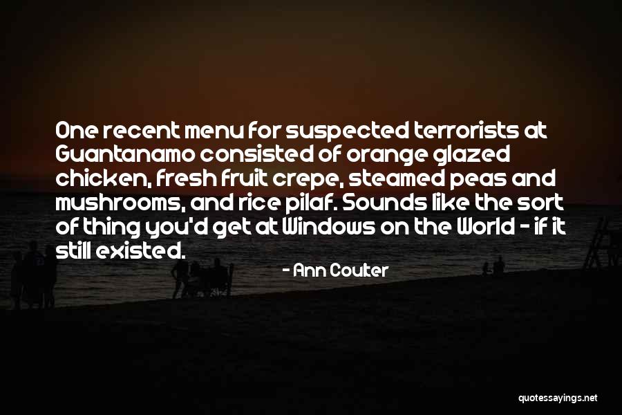 Ann Quotes By Ann Coulter