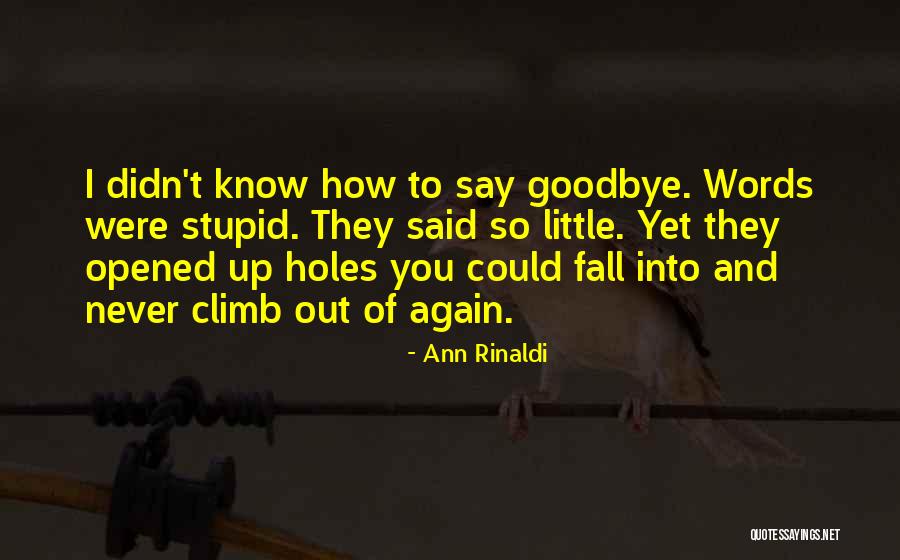 Ann Rinaldi Quotes 1496590