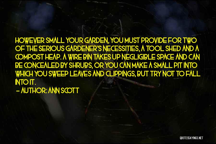 Ann Scott Quotes 1816439