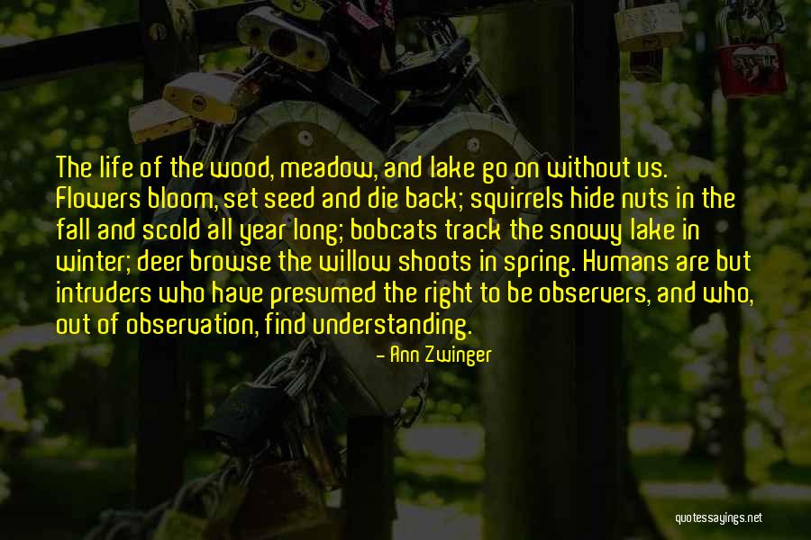 Ann Zwinger Quotes 2052417 Ann Zwinger Quotes 2052417