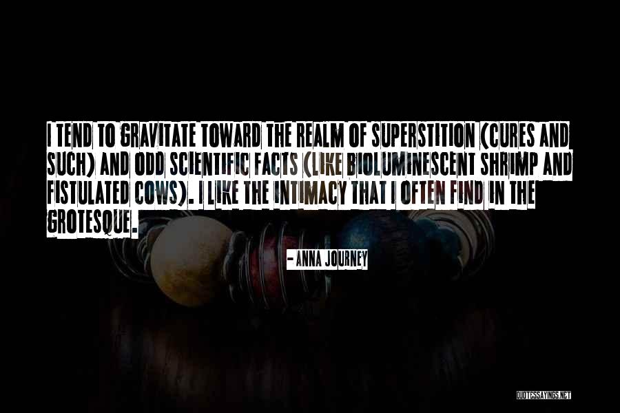 Anna Journey Quotes 2010116 Anna Journey Quotes 2010116