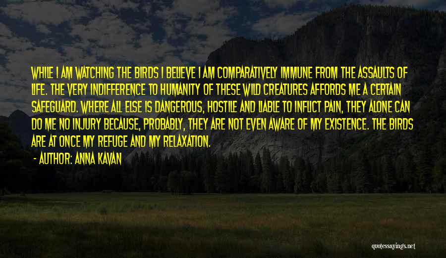 Anna Kavan Quotes 1220143