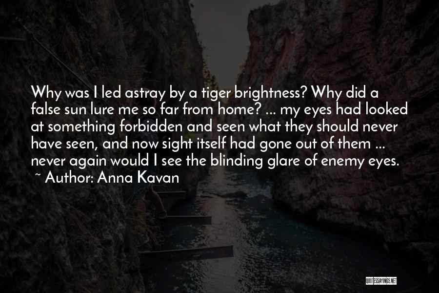 Anna Kavan Quotes 663576