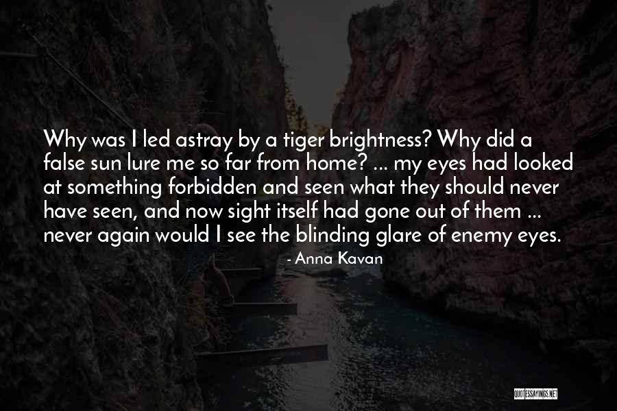 Anna Kavan Quotes 663576