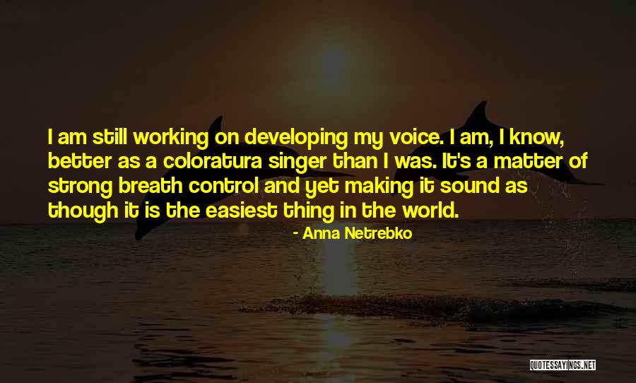 Anna Netrebko Quotes 996450