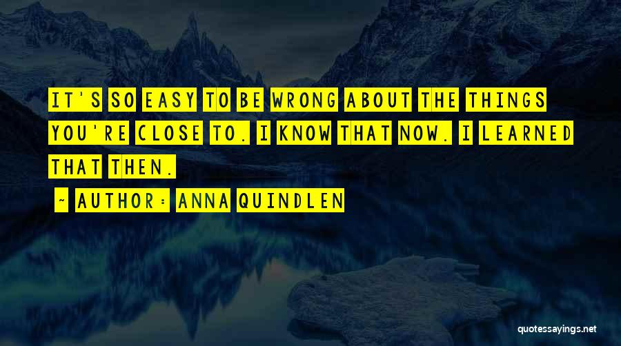 Anna Quindlen Quotes 1306227